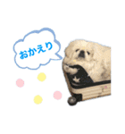 お散歩だりそくん（個別スタンプ：33）