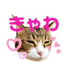 ごえもん日和 9（個別スタンプ：4）