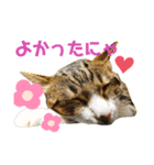 ごえもん日和 9（個別スタンプ：6）