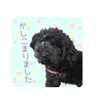 トイプードル・メイの日常（個別スタンプ：2）