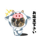 ツカ様すたんぷ。3（個別スタンプ：1）