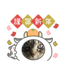 ツカ様すたんぷ。3（個別スタンプ：2）