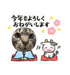 ツカ様すたんぷ。3（個別スタンプ：4）