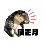 ツカ様すたんぷ。3（個別スタンプ：6）