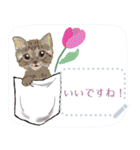 花と猫のメッセージスタンプ（個別スタンプ：24）