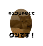 こねいもスタンプ2！（個別スタンプ：1）
