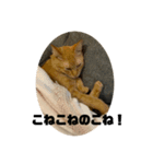 こねいもスタンプ2！（個別スタンプ：2）