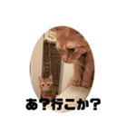 こねいもスタンプ2！（個別スタンプ：4）