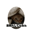 こねいもスタンプ2！（個別スタンプ：6）