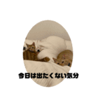 こねいもスタンプ2！（個別スタンプ：7）