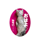 まんちかんの芽々吉くんスーパー（個別スタンプ：5）