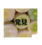 西洋野菜たちと時々牛（個別スタンプ：22）