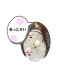 everydayMaronKUN（個別スタンプ：13）