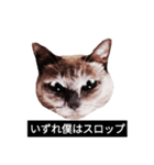 いずれ僕はスロップ（個別スタンプ：1）