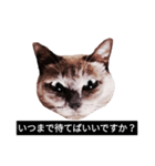 いずれ僕はスロップ（個別スタンプ：3）