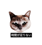 いずれ僕はスロップ（個別スタンプ：5）