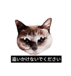 いずれ僕はスロップ（個別スタンプ：6）