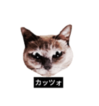いずれ僕はスロップ（個別スタンプ：11）