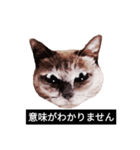 いずれ僕はスロップ（個別スタンプ：12）