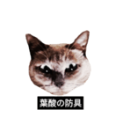 いずれ僕はスロップ（個別スタンプ：13）