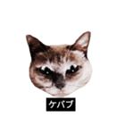 いずれ僕はスロップ（個別スタンプ：14）