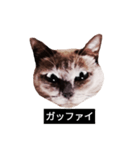 いずれ僕はスロップ（個別スタンプ：15）