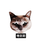 いずれ僕はスロップ（個別スタンプ：16）