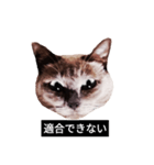 いずれ僕はスロップ（個別スタンプ：18）
