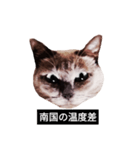 いずれ僕はスロップ（個別スタンプ：20）