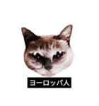 いずれ僕はスロップ（個別スタンプ：22）