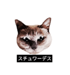 いずれ僕はスロップ（個別スタンプ：24）