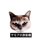 いずれ僕はスロップ（個別スタンプ：25）