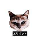 いずれ僕はスロップ（個別スタンプ：29）