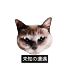 いずれ僕はスロップ（個別スタンプ：31）