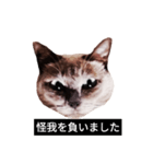 いずれ僕はスロップ（個別スタンプ：33）