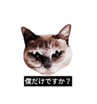 いずれ僕はスロップ（個別スタンプ：36）