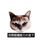 いずれ僕はスロップ（個別スタンプ：38）