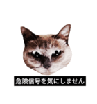 いずれ僕はスロップ（個別スタンプ：39）