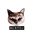 いずれ僕はスロップ（個別スタンプ：40）