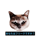 あなたはフリークですか？（個別スタンプ：1）