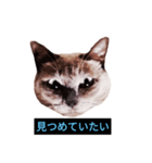 あなたはフリークですか？（個別スタンプ：2）