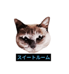 あなたはフリークですか？（個別スタンプ：3）