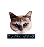 あなたはフリークですか？（個別スタンプ：5）