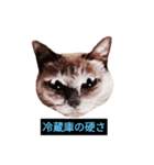 あなたはフリークですか？（個別スタンプ：6）