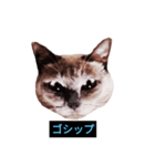 あなたはフリークですか？（個別スタンプ：7）