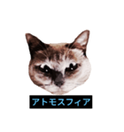 あなたはフリークですか？（個別スタンプ：8）
