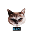 あなたはフリークですか？（個別スタンプ：9）