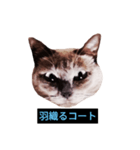 あなたはフリークですか？（個別スタンプ：14）