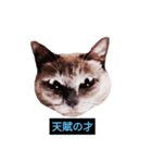 あなたはフリークですか？（個別スタンプ：17）