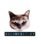 あなたはフリークですか？（個別スタンプ：22）